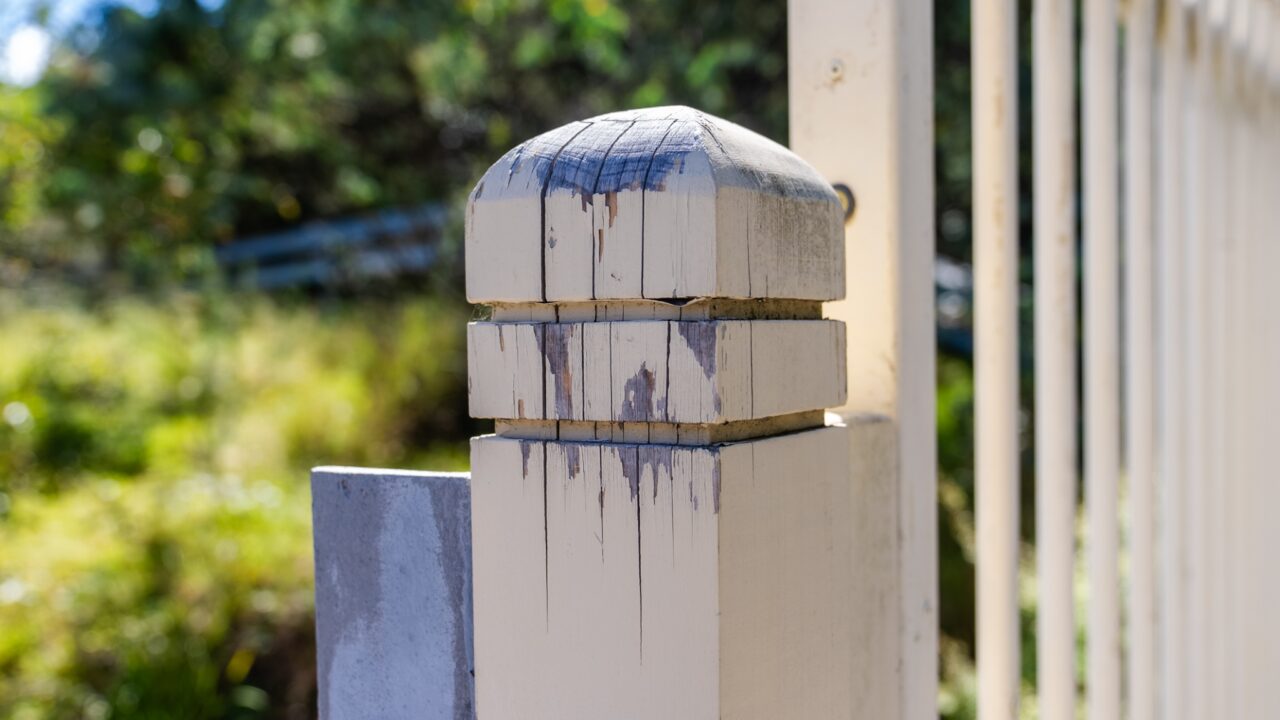 Close-up of a weathered wooden fence post with peeling paint, set against a blurred background of greenery at Mt Vic.