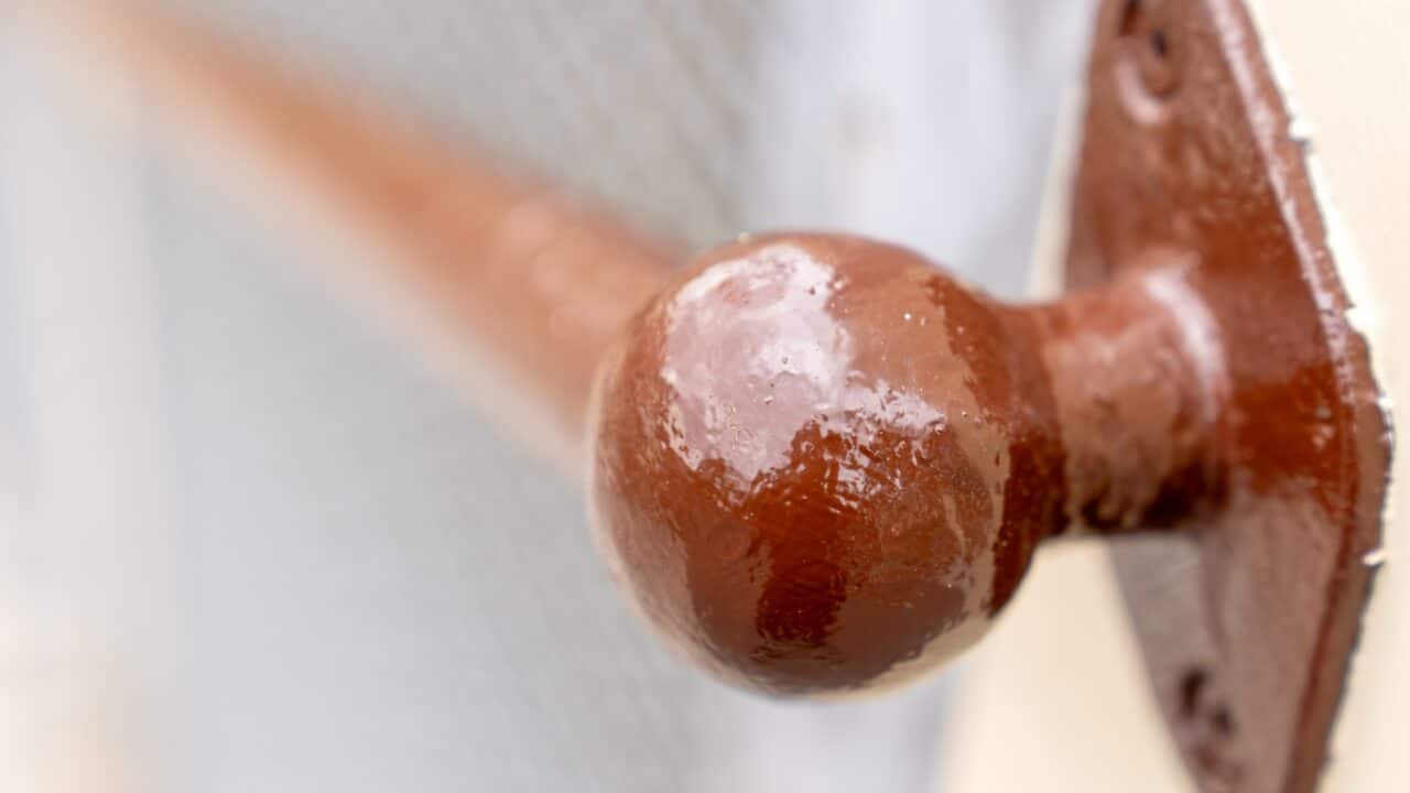 Close-up image of a brown, spherical door handle mounted on a metal bracket at Mt Vic Train Station, with a blurred background, highlighting the ongoing restoration efforts.