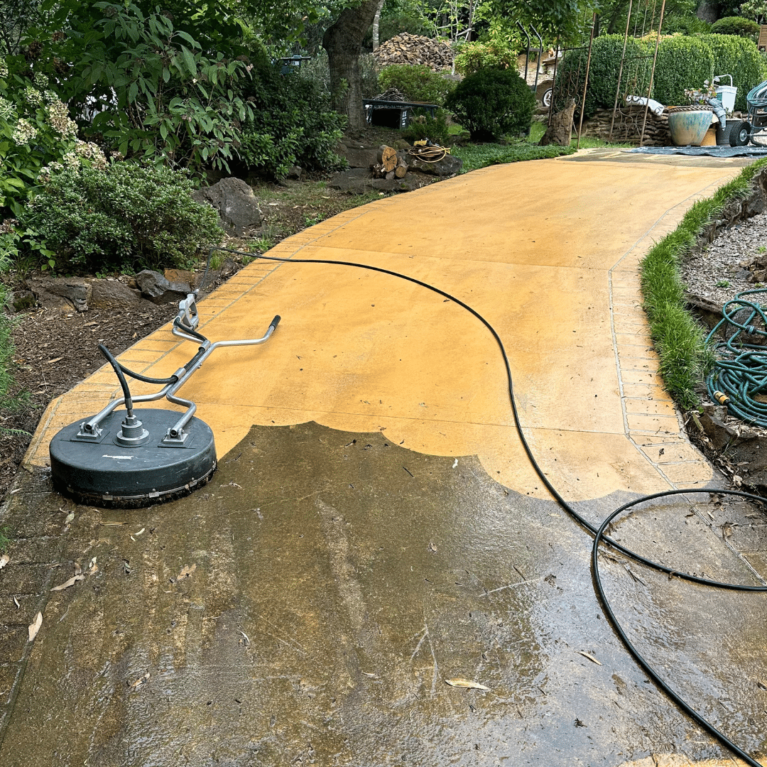 A concrete pathway half cleaned, showing a stark difference between the cleaned and dirty sections. Expert services in driveway cleaning are evident as a pressure washer surface cleaner is in use with a hose attached, surrounded by garden greenery, offering pristine results straight from the Blue Mountains.